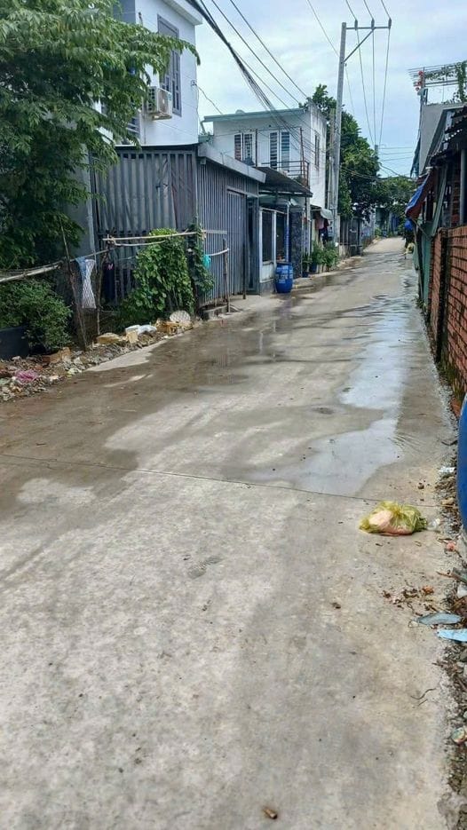 Ban Dat Tra No Tan Uyen Binh Duong 2