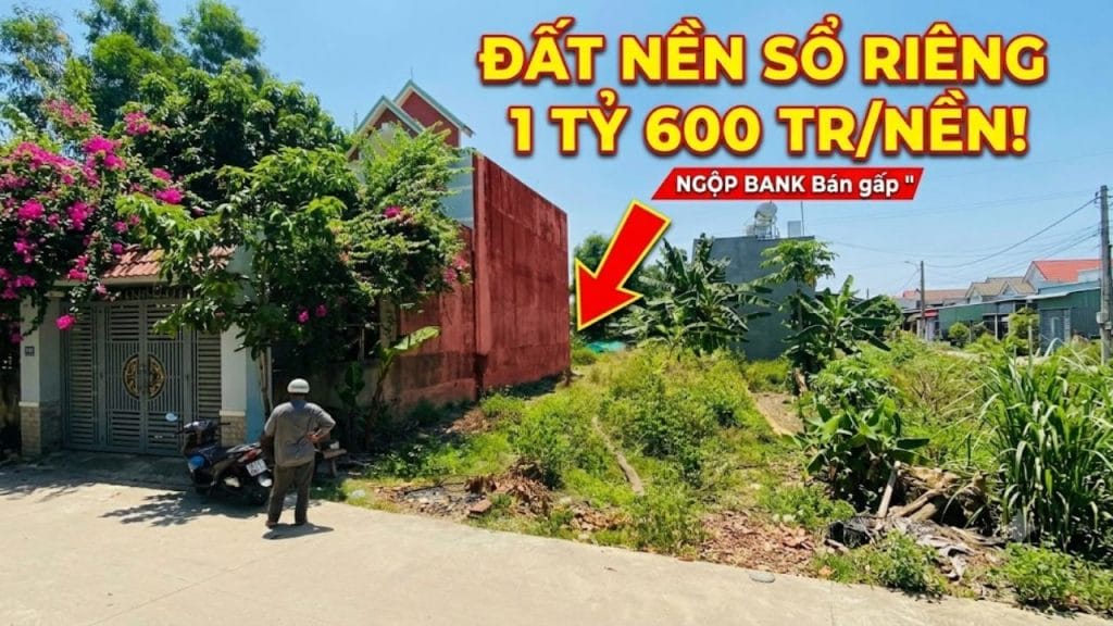 Bán Đất Thổ Cư 100m Tân Phước Khánh Vành Đai KCN Đại Đăng